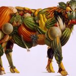 vegetable-bull2