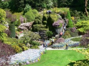 Raj na zemlji - rajska bašta Butcharts Gardens detalj