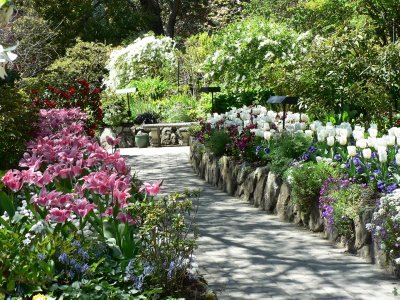 Raj na zemlji - rajska bašta Butcharts Gardens staza