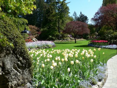 Raj na zemlji - rajska bašta Butcharts Gardens detalj vrta