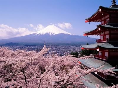 Mount Fuji & Cherry Blossoms at Japan