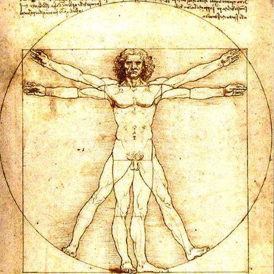 Vitruvian Man - Leonardo da Vinci