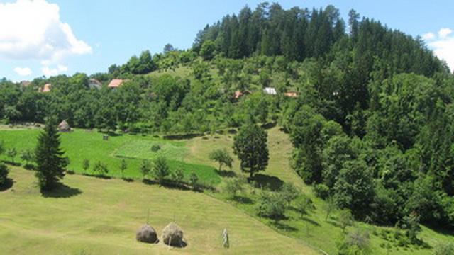 Selo Donji Graovac  - planina Tara