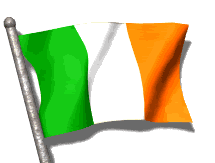 Irska zastava Irski jezik Irci i Englezi