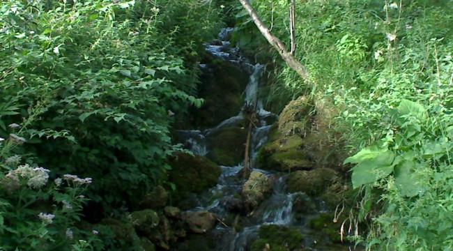 Lisine - potok