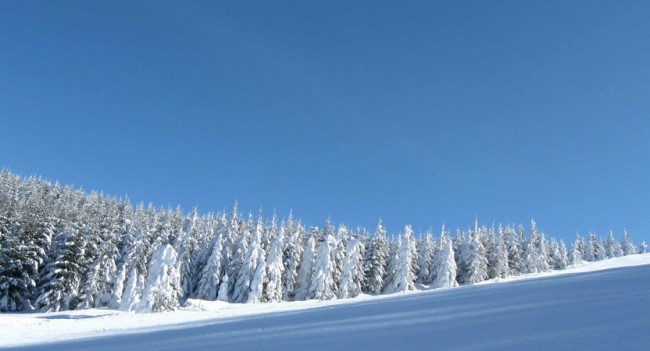 Pejzaž na stazi Konjarnik - Babin zub i skijanje na staroj planini