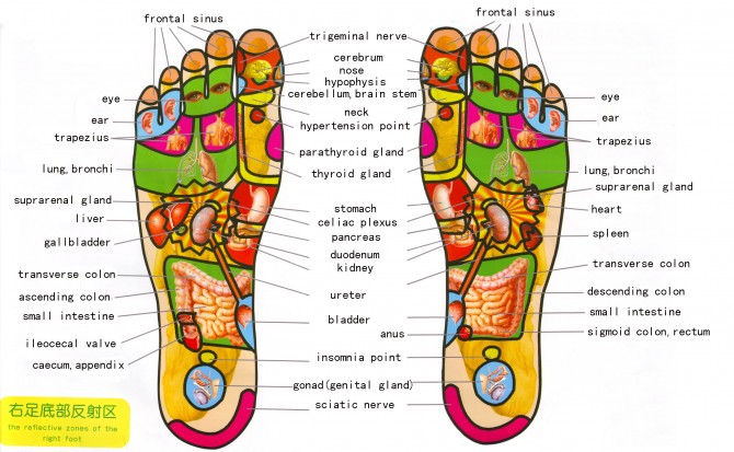 Kineska medicina - tačke organa na stopalima