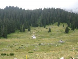 Uticaj životne sredine na zdravlje ljudi - Vaše zdravlje zavisi od toga gde živite