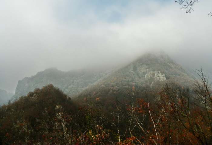 Boškovac, photo by Vladimir Mijailović