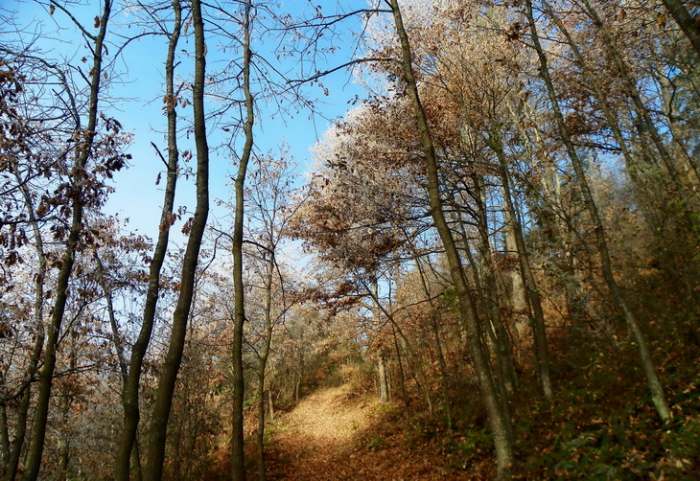 Selo Gornje Košlje, photo by Vladimir Mijailović