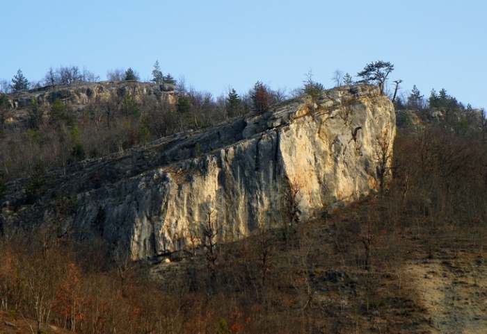 Ogradjenica, Park prirode Mokra Gora, photo Vladimir Mijailovic