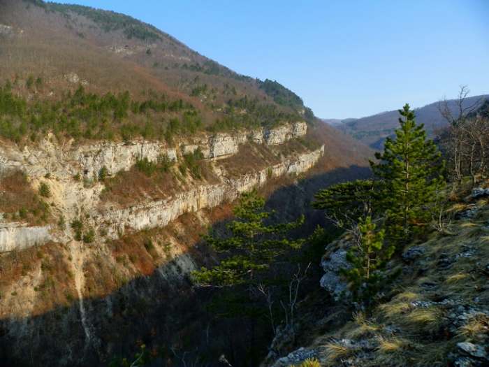 Park prirode Mokra Gora, photo Vladimir Mijailovic