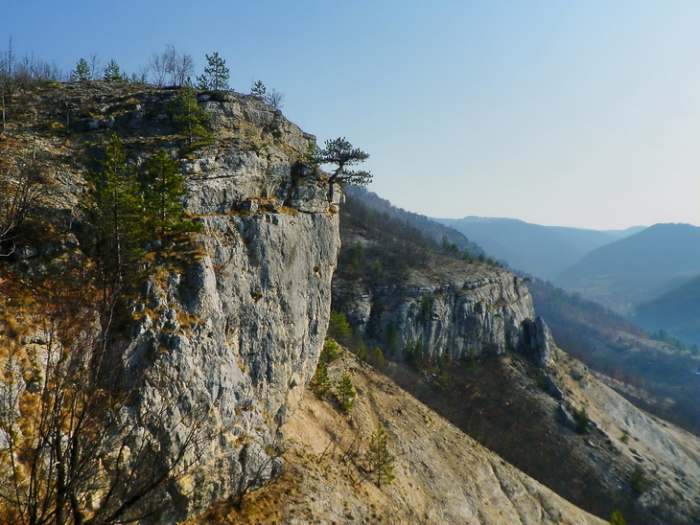 Park prirode Mokra Gora, photo Vladimir Mijailovic