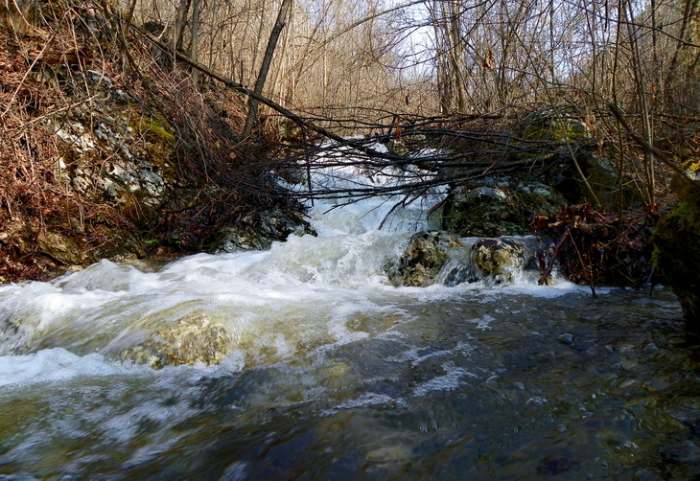 Park prirode Mokra Gora, photo Vladimir Mijailovic