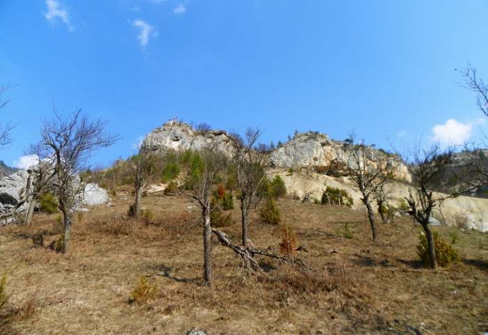 Park prirode Mokra Gora, photo Vladimir Mijailovic