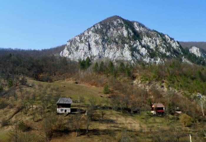 Park prirode Mokra Gora, photo Vladimir Mijailovic