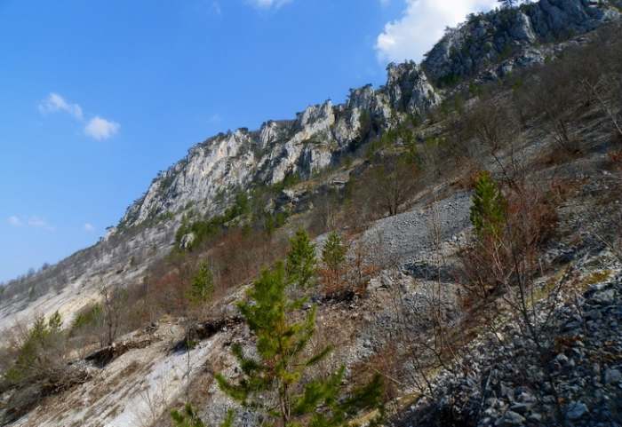 Park prirode Mokra Gora, photo Vladimir Mijailovic