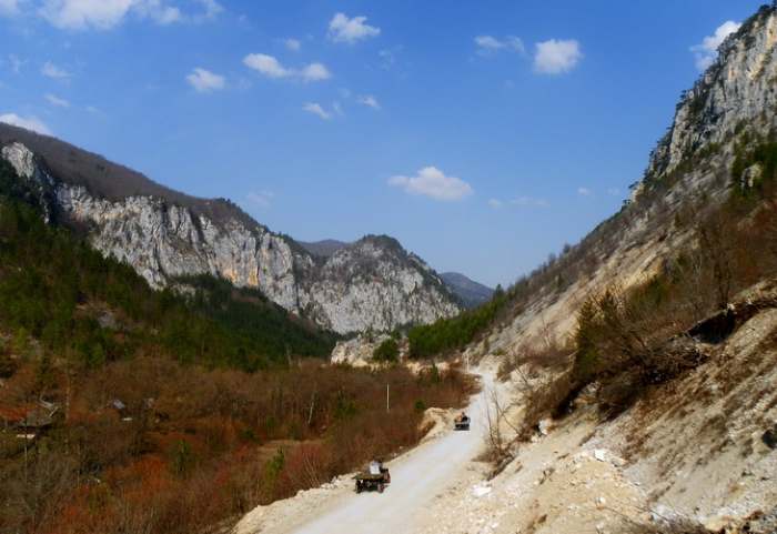 Park prirode Mokra Gora, photo Vladimir Mijailovic