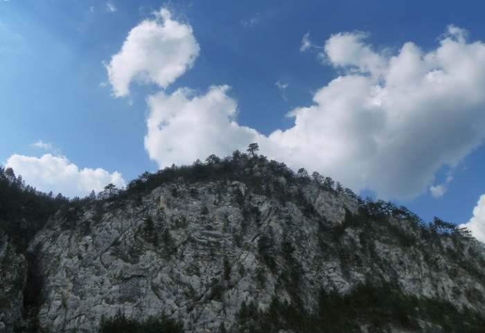 Park prirode Mokra Gora, photo Vladimir Mijailovic