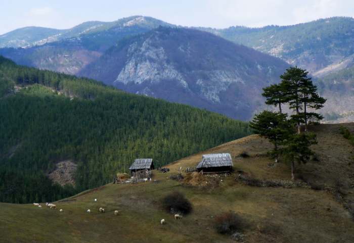 Park prirode Mokra Gora, photo Vladimir Mijailovic