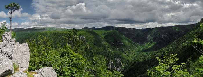 Poskok, kanjon Mileševke   Photo by Vladimir Mijailovic
