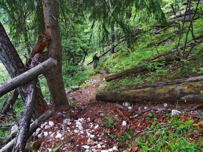 Strogi rezervat prirode klisura reke Mileševke Photo by Vladimir Mijailovic