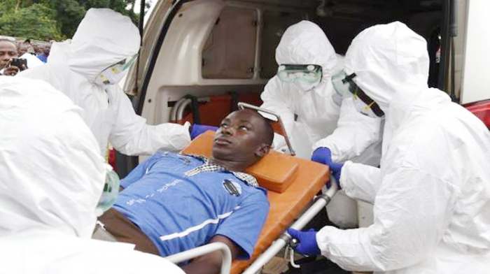 Virus ebole - šta je ebola i kako se izlečiti od virusa koji ubija