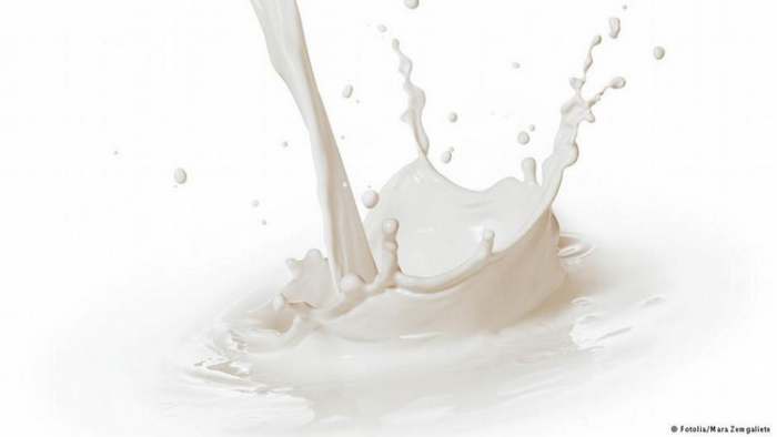Mitovi, istine i laži o mleku - da li je štetno stalno piti mleko