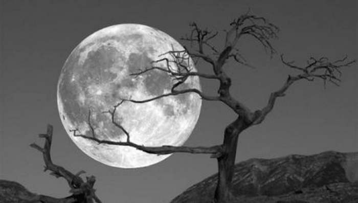Bjesomučnost i Pun Mesec na nebu