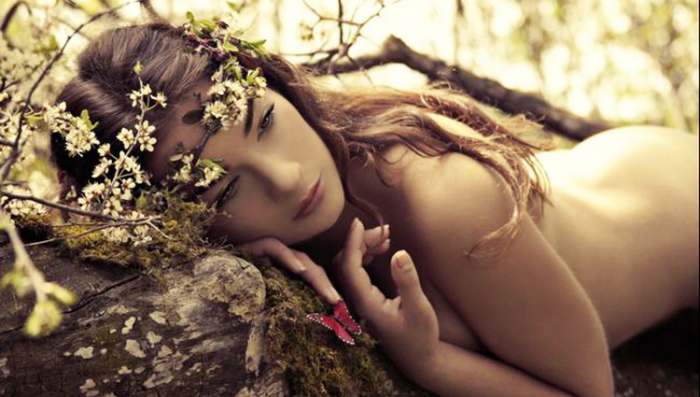 Odsanjani san - Ashley Lebedev devojka na drvetu