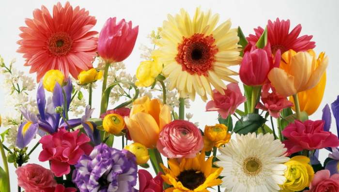 cvet i njegovo značenje - koje poruke šalje cveće