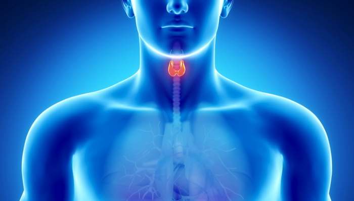 Hipertireoza ili oboljenje štitaste žlezde - tiroide