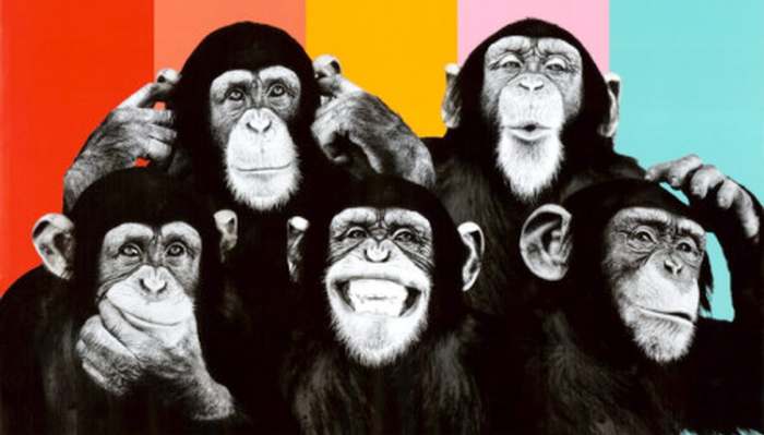 Šta je primitivac i trijumf primitivizma na Balkanu - majmuni koji se smeju poster