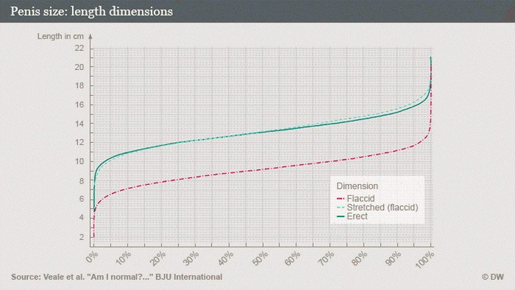 Koja je normalna veličina penisa i koliko iznosi - dimenzije dužine penisa
