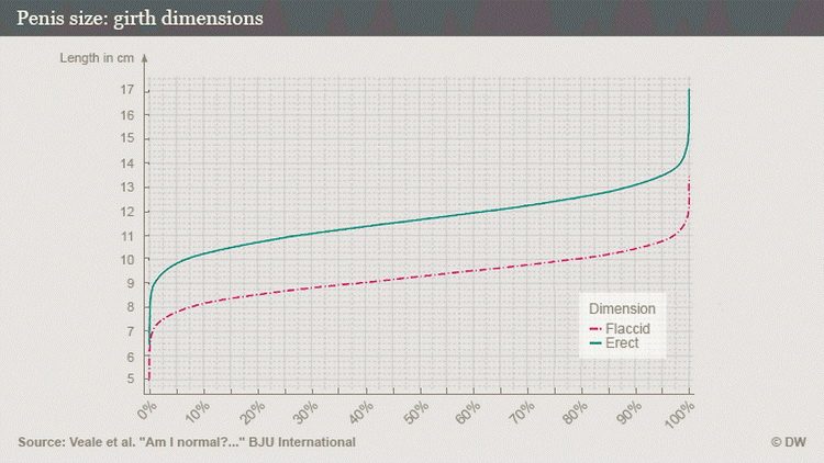 Koja je normalna veličina penisa i koliko iznosi - dimenzije opsega penisa
