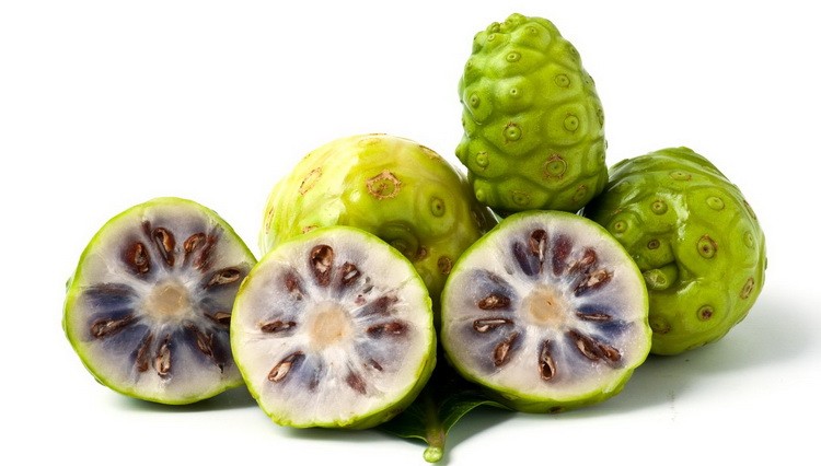 Noni voće - Kraljica zdravlja sa Havaja Morinda citrofolia noni-fruit