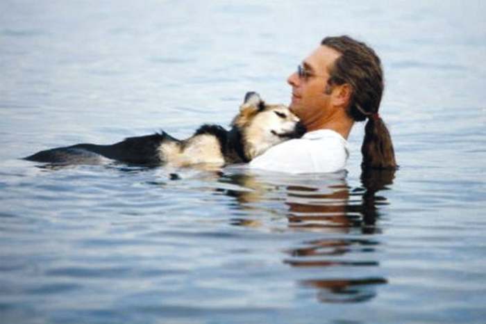 Pas i čovek u moru