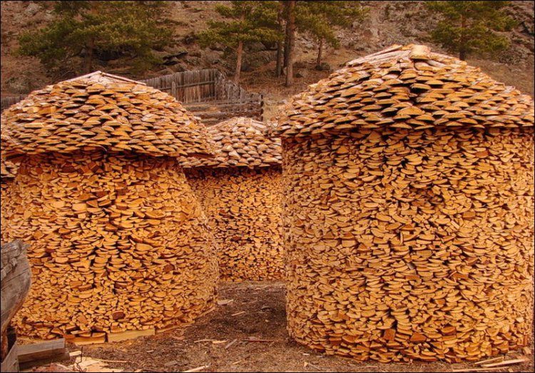 drva za zimu 6