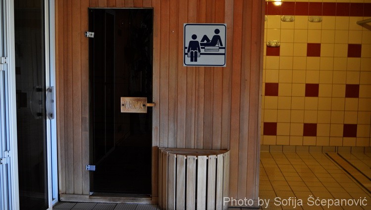 Finska sauna - Madjarska banja Harkanj - Harkany banja za psorijazu