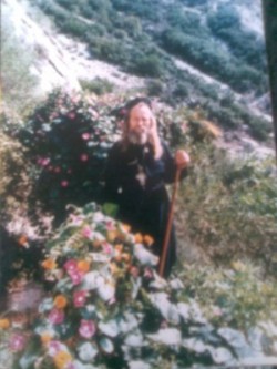 Otac Stefan Karuljski i njegovo cveće ispred kelije