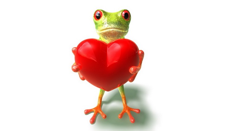 Sitnica - žaba i srce