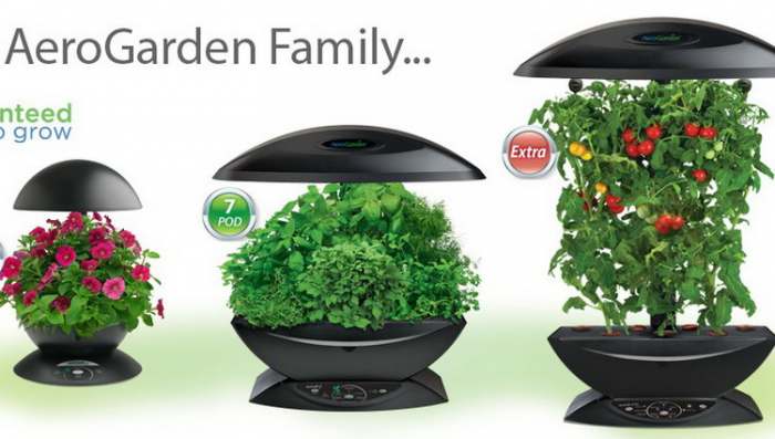 AeroGarden kućna bašta ili zašto biti baštovan amater