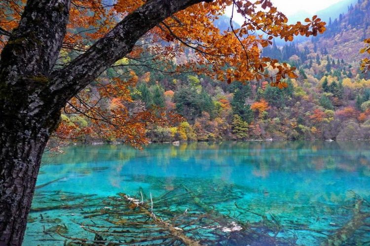 Jezero cvetova - Kina