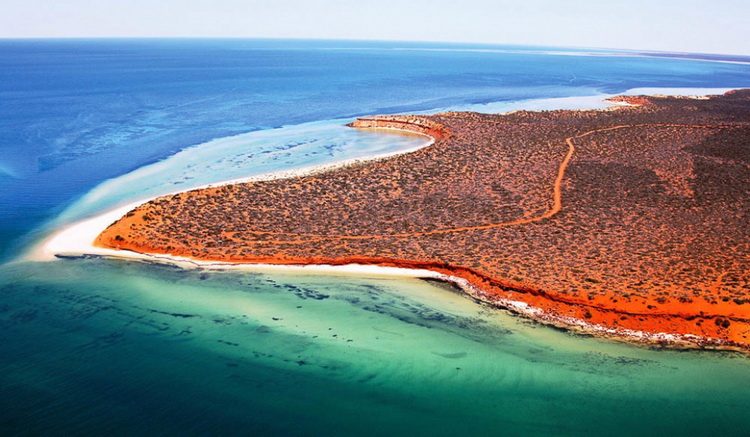 Zaliv Šark Australija