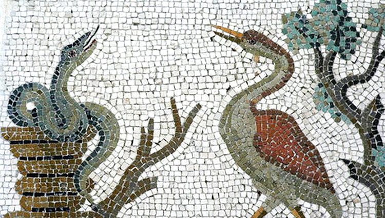 Zmija i ptica mozaik - Zmija mladoženje - narodna epska pripovetka