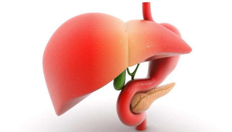 Prirodno Čišćenje jetre - kako se čisti jetra prirodnim putem