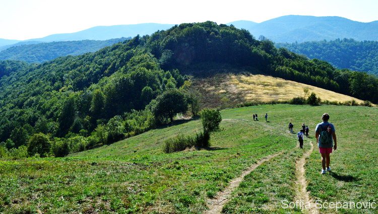 Sokolovac planinarska šetnja nacionalni park Djerdap_13