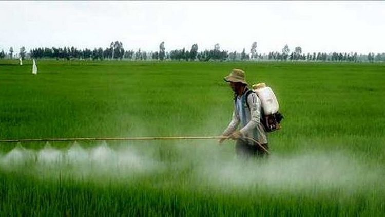 Bio pesticid i prskanje - Bio zaštitna sredstva za biljke