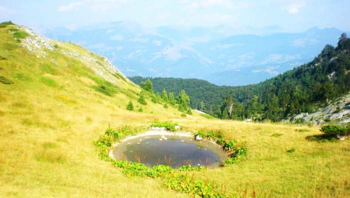 Gorsko oko photo by Dragana Rajblović Ja znam da pošli ste tamo kud ljubav vas vodi