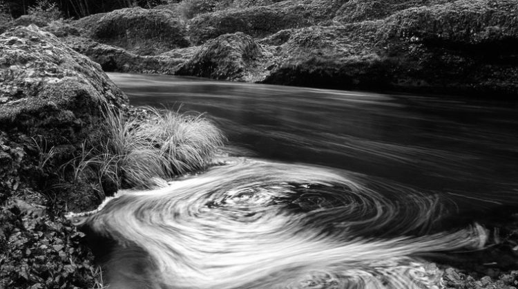 Jesen u crnim potocima - Swirling Eddy, Clackamas River, Oregon